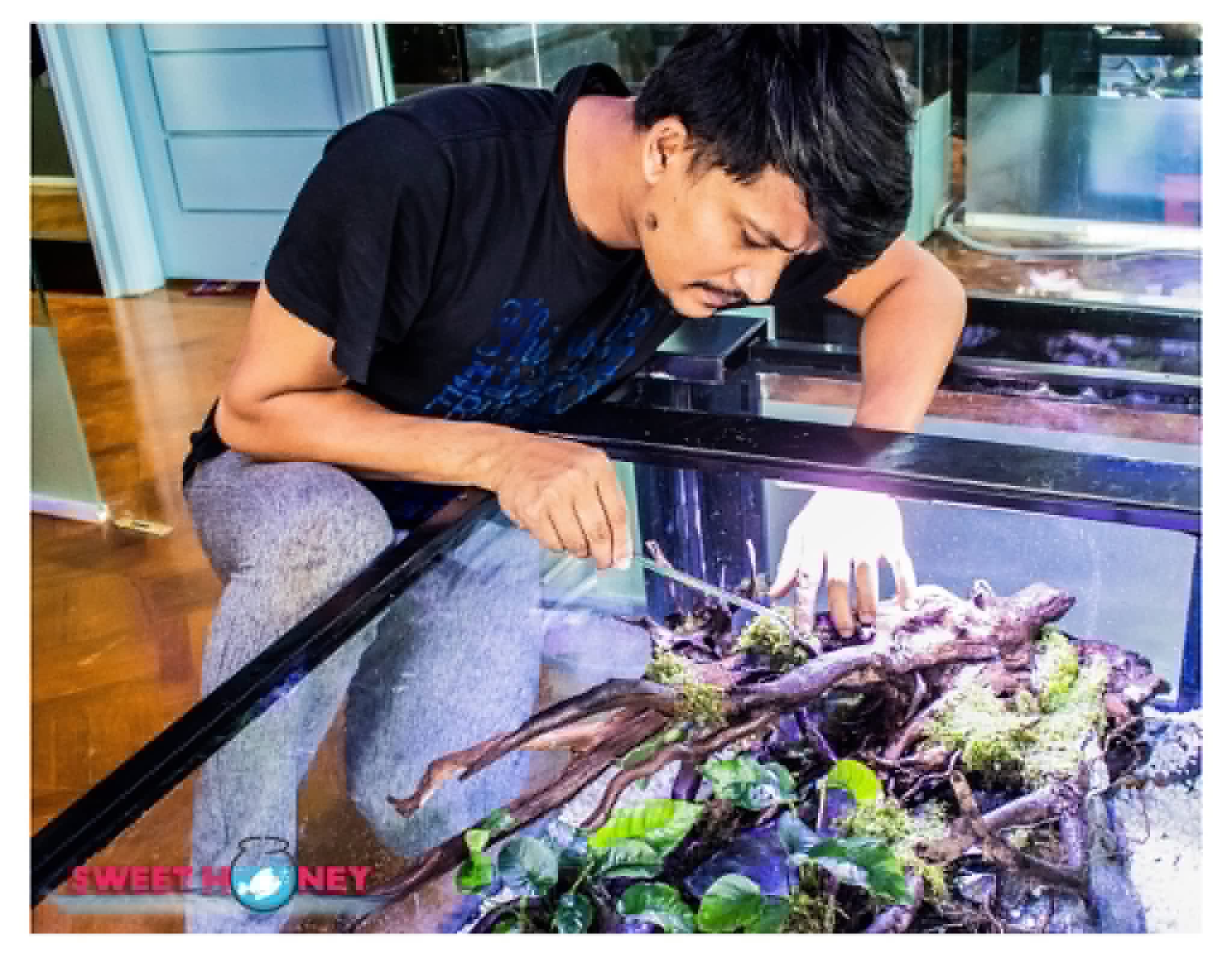 Aquascaping a tank