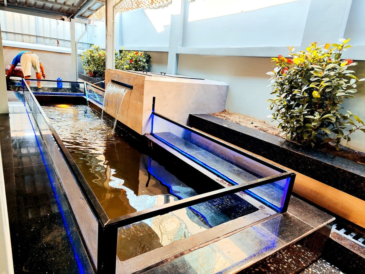Glass koi pond & garden