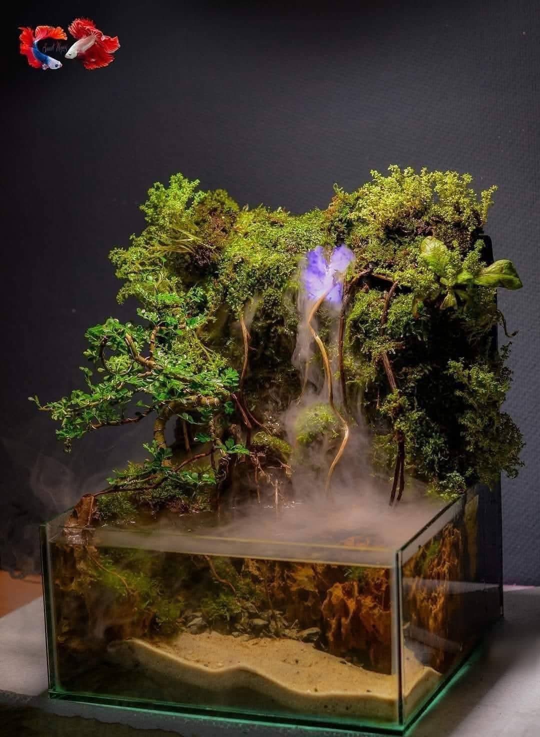 Planted nature tank