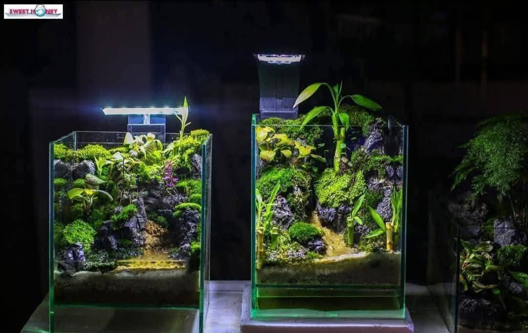 Aquascape detail