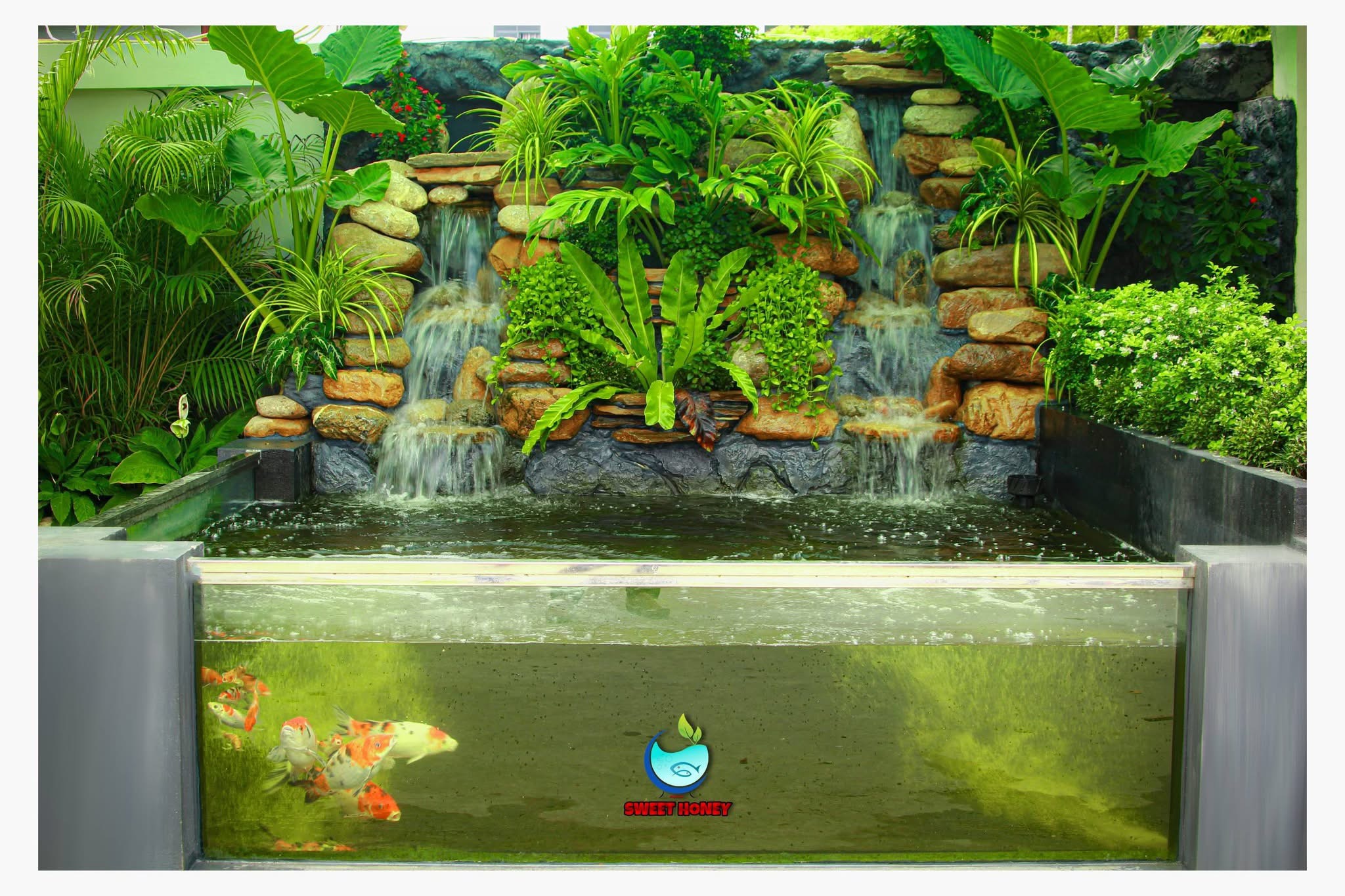 Aquarium gallery