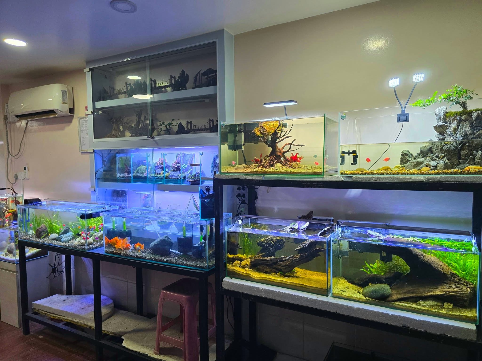 Inside our shop