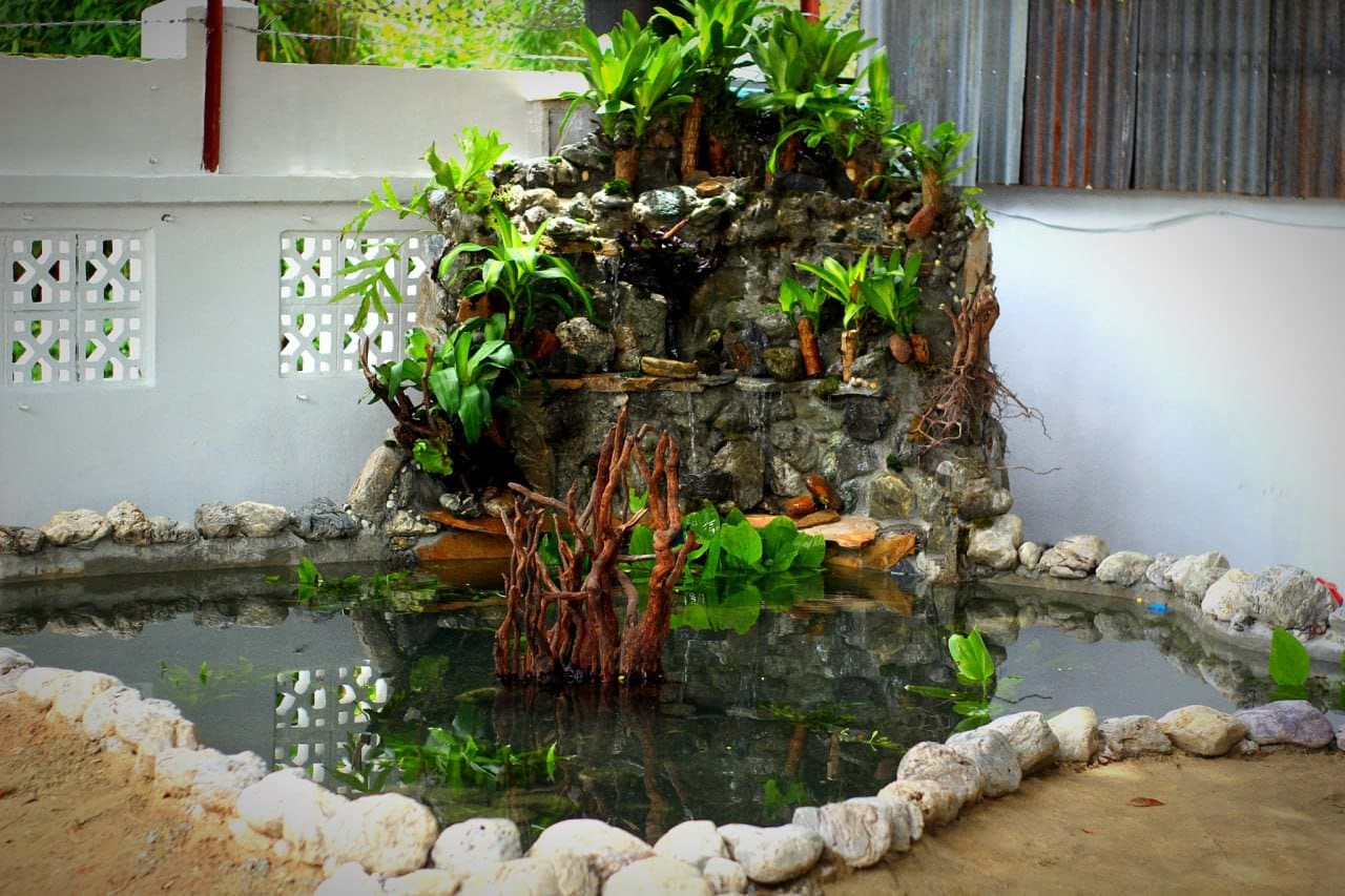 Garden koi pond