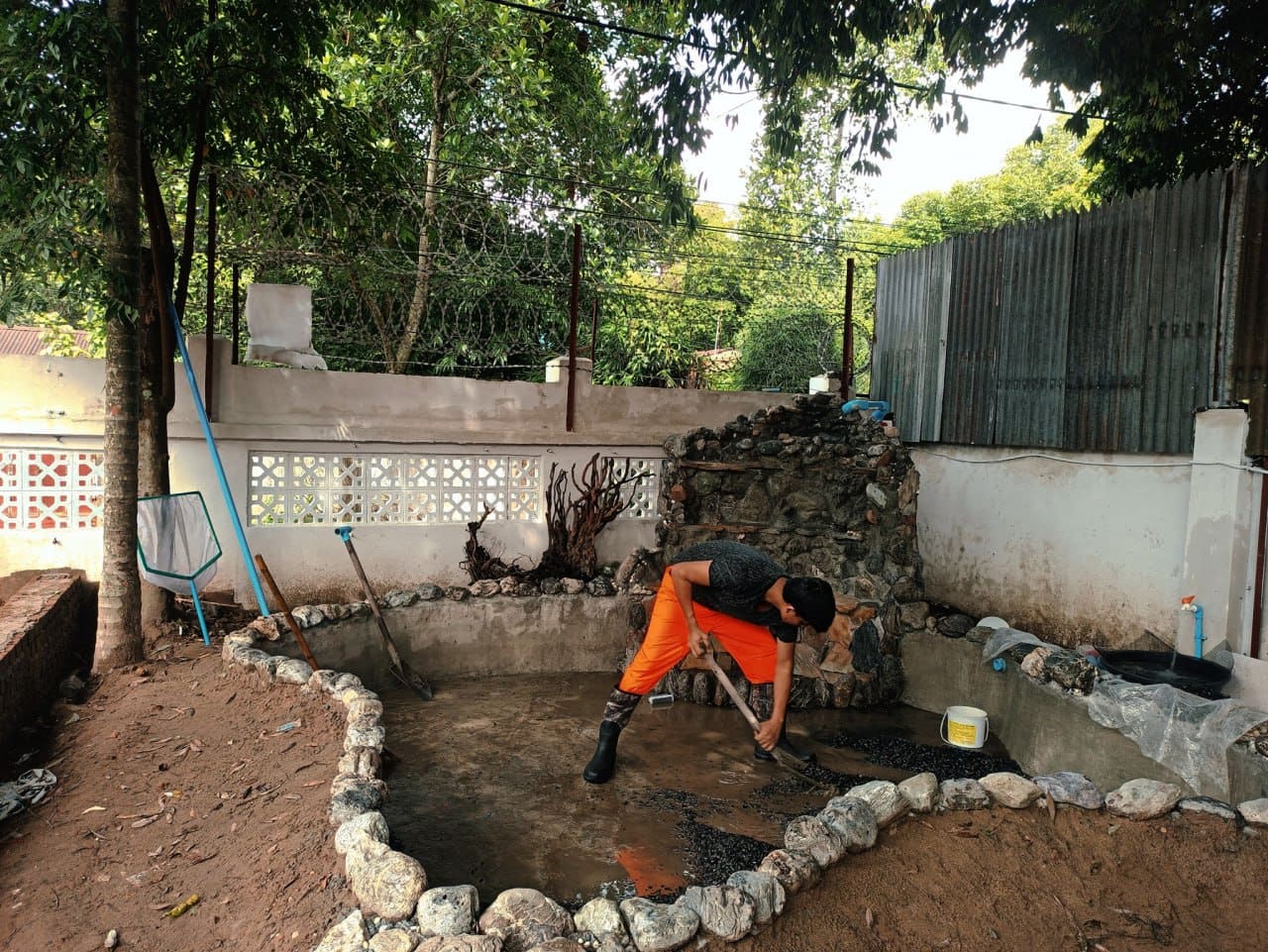 Garden koi pond